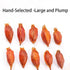 Doorpetal 8.81oz/250g Gardenia Fruit - Pure Natural Chinese Herbal Medicine- Cape Jasmine Fruit- Dried Whole Herbal