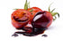 12.9 (Pack 2) Sanniti Italian Balsamic Vinegar Glaze, Ounce