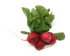 Fresh Produce PRODUCE Red Radish Bunch
