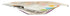 365 by Whole Foods Market COLBY 6 OZ Mild Cheese Bar Snack