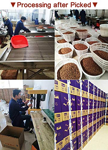170g/6oz., Chinese Peeled Walnuts,Fresh Linan Mountain Walnut Kernels,Walnuts with Extra Creamy or Salty Flavoring,Net