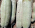 Generic 100% 100g/pack, Kigelia africana fruit powder, sausage fruit powder, organic, including phyto sanitary