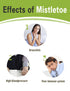 Adderenity Dried Mistletoe 2oz (57g) - 100% Natural Herb Tea Hujisheng, No Additives, Vegan Friendly