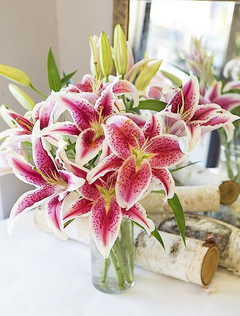 5 KaBloom - Tranquil Sympathy Breeze Bouquet of Pink stargazer lily With Vase - Fresh Flowers for Birthday, Valentine's