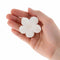 Global Sugar Art Fruit Blossom Sugar Cake Flowers, White with Wires, 12