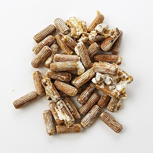 100 Shiitake Mushroom Plug Spawn, Edible Mycelium Plugs