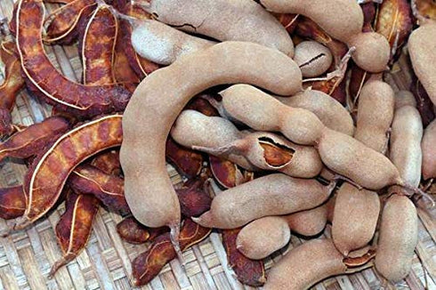 Produce (Brands May Vary) 16 Tamarind, Ounce