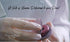 12 Count Macaron - Blueberry French Macaron sGift Box