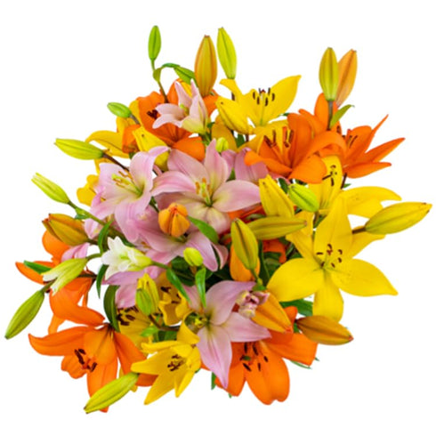 KaBloom - 10 Rainbow Lilies Without Vase - Fresh Flowers for Birthday,