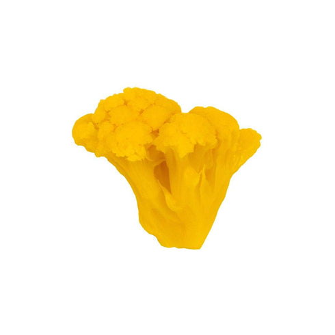 Bites-1 Hot Cauliflower Gallon