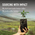 100% 60 Count (6 10 Peet's Coffee, Dark Roast Keurig K-Cup Pods, Arabica Coffee - House Blend Boxes of K-Cup Pods)