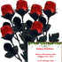 FavorOnline Christmas Dozen Red Chocolate Roses Gift Bouquet - Solid Premium 9 1/2"