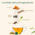(100 Count) 100% VAHDAM, Turmeric Ashwagandha Herbal Tea Bags Caffeine Free, Non GMO, Gluten Free | Pure Herbal Blend