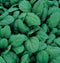 Spinach Space 500 Seeds