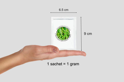 Pack 12 (12 Pack) Yogurt Starter Cultures - of Freeze-Dried Sachets for Lactobacillus Rhamnosus and L.Gasseri Yogurt