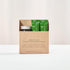 TAEGEUK SAGYE Authentic Perilla Leaf Blend - Korean Herb Seasoning
