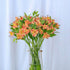 30 stem random mix Rainbow Alstroemeria Fresh Cut Flowers Gift for Home Birthday Anniversary Get Well Sympathy