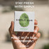 SIMPLY Gum Peppermint and Grapefruit (Cleanse) Variety Pack - 6 Pack (90 Pieces) Natural Plastic-Free Chewing Gum