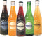 Boylan 6-Way Assorted Bottleworks, 12 Fl Oz (Pack of 12)