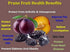 6 Oz Pack 6) Amphora All Natural Organic Soft Dried Plums gluten free vegan health snack dried fruit, Each (