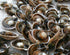 115g 100% NESTLADY Dried Japanese Scallops - Natural, Dried