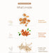 18g 15 Damtuh Walnut Almond Adlay Tea Drink Mix Korean Yulmu Cha (Jobs Tears) Roasted Grain & Nut Latte-Style Powder