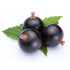 OliveNation Blackcurrant Extract from Natural Flavors, Cassis Flavoring for Baking, 8 ounces, Sugar Free, Non-GMO