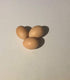 Barnyard Mix Fertile Chicken Hatching Eggs Raised on Organic (12 Eggs)
