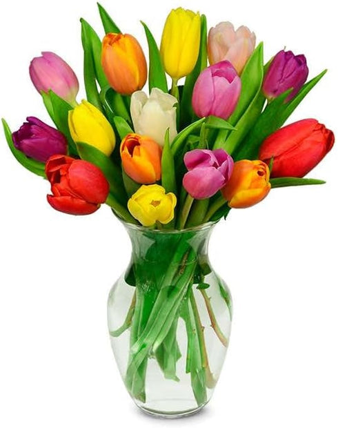 Generic (10 Rainbow Tulips - Fresh Flowers for Delivery - Easter Flowers - Birthday Flowers for Women - Birthday Flower