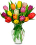 Generic (10 Rainbow Tulips - Fresh Flowers for Delivery - Easter Flowers - Birthday Flowers for Women - Birthday Flower