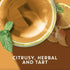 20 (2pack) Tazo Wild Sweet Orange Herbal Tea, ct