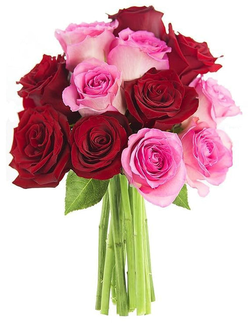 KaBloom - 12 Red and Pink Roses without vase - Fresh Flowers