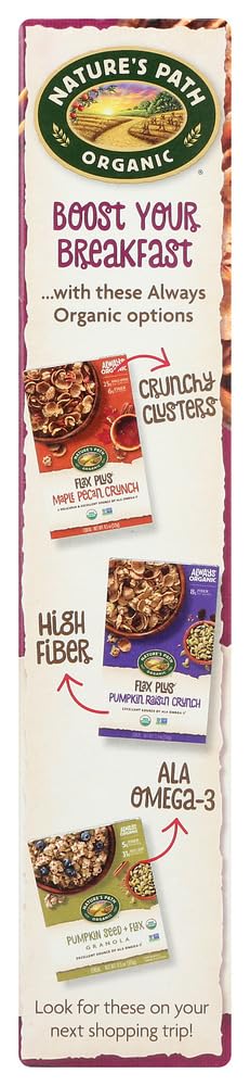14 oz (Pack 1) Nature's Path Organic Flax Plus Raisin Bran Cereal