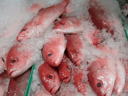 Wholey Whole Caribbean Red Snapper 3 Lb. Avg(1-2 Fish) (Head On)