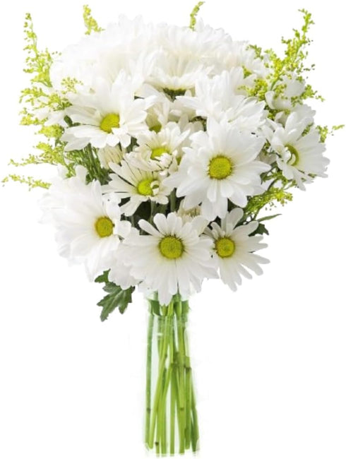 KaBloom Flowers - Bouquet of 10 White Daisy with 5 Yellow Aster-Without