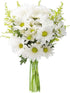 KaBloom Flowers - Bouquet of 10 White Daisy with 5 Yellow Aster-Without