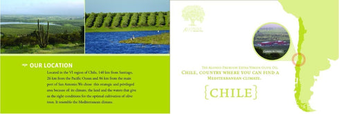 The Olive Trading Co. 2025, 643 2025 500ml (16.9 2 Pack) Alonso, Coratina Extra Virgin Olive Oil, Chile, Gold NYIOOC