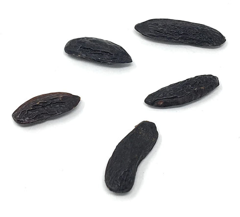 5 100% Premium Tonka Beans - Whole Natural Tonka Beans - Raw & Pure Tonquin, Strong Fragrance (Dipteryx Odorata Tonkin