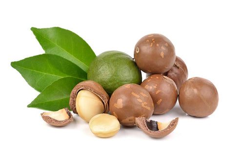 US Organic Macadamia Nut Oil Unrefined Virgin, Pure & Natural, Cold Pressed, 2 oz in Amber Glass Bottle with Dropper