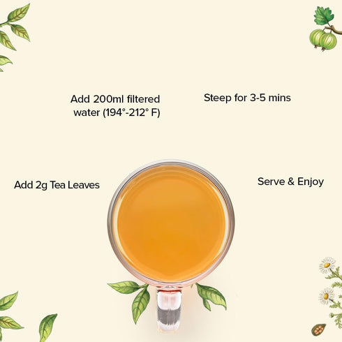 Set (10 Packed VAHDAM Assorted Green Tea Loose Leaf Tea Gift Flavors) | Loose Leaf Green Tea Collection | Includes