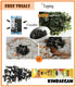 Generic 265g (6, CJ Bibigo Abalone Porridge, ABALONE)