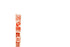 ZUANA Pack 12 Joray Fruit Roll Apricot