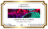 Larissa Veronica (12 571875) 2 Pack Cheese Flavored Dandelion Root Tea (Single Serve K-Cup Pods) pods, ZIN: