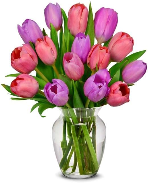 From You Flowers - Pink and Purple Tulips - 15 Stems with