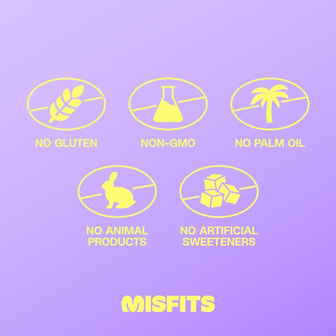 Misfits High Protein Bar, Caramel Fudge, Gluten Free, Non GMO, Plant Based Vegan Protein Bar, Low Sugar, High Fiber