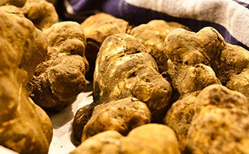 Truffles 100ml, Summer 80g Balsamic Vinegar with White Truffle Tuber Magnatum Pico Spray Ideal for Salads and Black