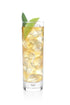 Tea Forte Tea Over Ice White Ginger Pear - Premium Organic Caffeinated Iced Tea Blend, 5 Count