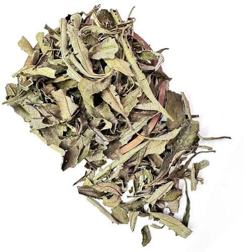 1 NY SPICE SHOP Whole Yerba Santa Leaf - Pound Raw Yerba Santa Leafs Tea (Loose) - Pure Loose Leafs for Hi Caf Tea