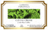 Larissa Veronica (12 572207) 2 Pack Cocoa Cream Costa Rica Coffee (Single Serve K-Cup Pods) (Gourmet, Naturally