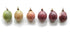 8-oz (8 oz) Naturally Delicious Dried Passion Fruit Maracuja Bags, No Added Chemicals, No Added Colorings, No